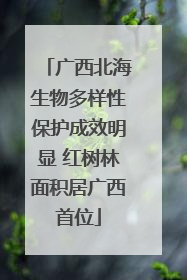 广西北海生物多样性保护成效明显 红树林面积居广西首位