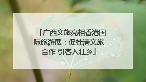 广西文旅亮相香港国际旅游展：促桂港文旅合作 引客入壮乡