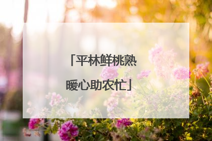 平林鲜桃熟 暖心助农忙