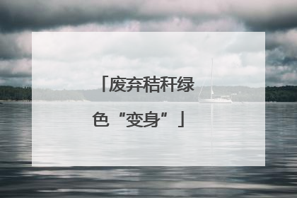 废弃秸秆绿色“变身”