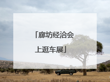廊坊经洽会上逛车展