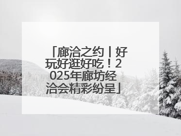 廊洽之约丨好玩好逛好吃！2025年廊坊经洽会精彩纷呈