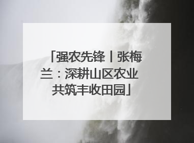 强农先锋丨张梅兰：深耕山区农业 共筑丰收田园