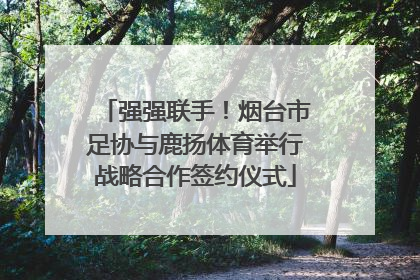 强强联手！烟台市足协与鹿扬体育举行战略合作签约仪式