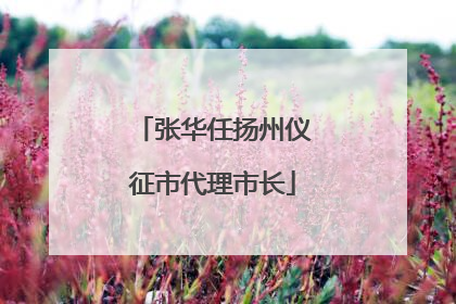 张华任扬州仪征市代理市长