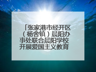 张家港市经开区（杨舍镇）晨阳办事处联合晨阳学校开展爱国主义教育主题升旗活动
