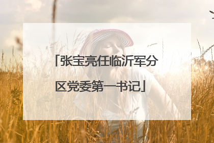 张宝亮任临沂军分区党委第一书记