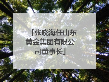 张晓海任山东黄金集团有限公司董事长