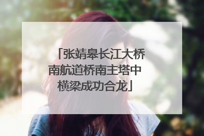 张靖皋长江大桥南航道桥南主塔中横梁成功合龙