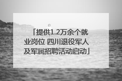 提供1.2万余个就业岗位 四川退役军人及军属招聘活动启动