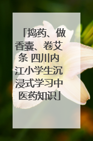 捣药、做香囊、卷艾条 四川内江小学生沉浸式学习中医药知识