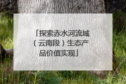 探索赤水河流域（云南段）生态产品价值实现