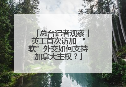 总台记者观察丨英王首次访加 “软”外交如何支持加拿大主权？