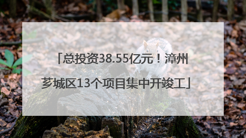 总投资38.55亿元！漳州芗城区13个项目集中开竣工