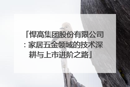 悍高集团股份有限公司：家居五金领域的技术深耕与上市进阶之路
