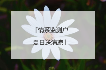 情系监测户 夏日送清凉