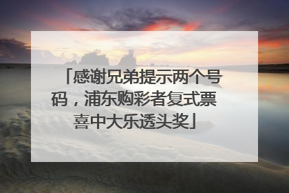 感谢兄弟提示两个号码，浦东购彩者复式票喜中大乐透头奖