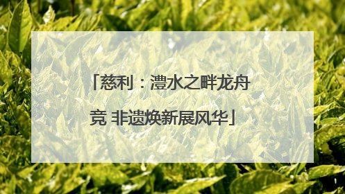 慈利：澧水之畔龙舟竞 非遗焕新展风华