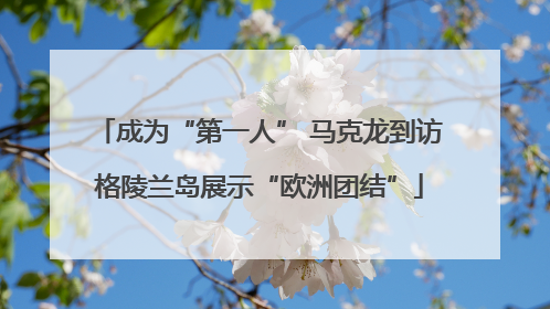 成为“第一人” 马克龙到访格陵兰岛展示“欧洲团结”