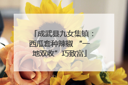成武县九女集镇：西瓜套种辣椒 “一地双收”巧致富