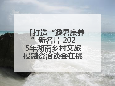 打造“避暑康养”新名片 2025年湖南乡村文旅投融资洽谈会在桃江举办