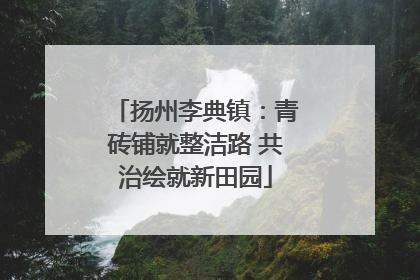 扬州李典镇：青砖铺就整洁路 共治绘就新田园