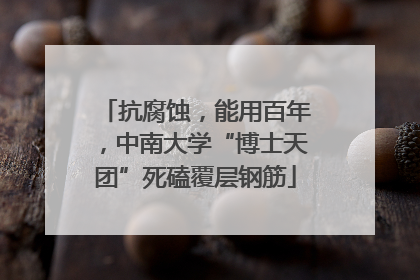 抗腐蚀，能用百年，中南大学“博士天团”死磕覆层钢筋