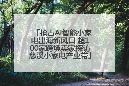 抢占AI智能小家电出海新风口 超100家跨境卖家探访慈溪小家电产业带