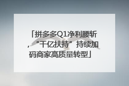 拼多多Q1净利腰斩，“千亿扶持”持续加码商家高质量转型