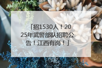 招1530人！2025年武警部队招聘公告！江西有岗！