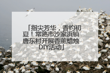 指尖芳华，香约初夏！常熟市沙家浜镇唐东村开展香薰蜡烛DIY活动