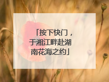 按下快门，于湘江畔赴湖南花海之约