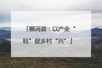 柳河县：以产业“旺”促乡村“兴”