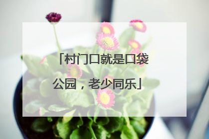 村门口就是口袋公园，老少同乐