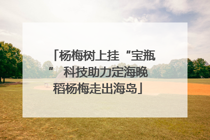 杨梅树上挂“宝瓶” 科技助力定海晚稻杨梅走出海岛