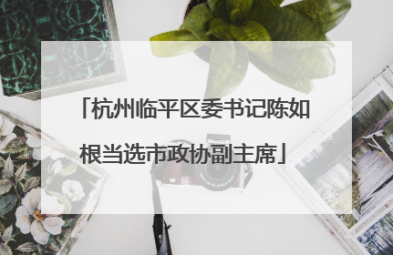 杭州临平区委书记陈如根当选市政协副主席