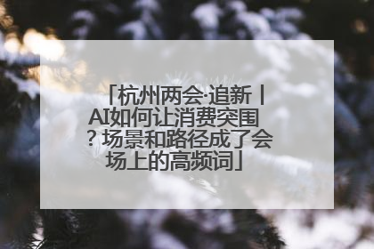 杭州两会·追新丨AI如何让消费突围？场景和路径成了会场上的高频词