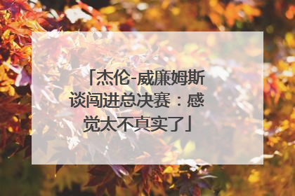 杰伦-威廉姆斯谈闯进总决赛：感觉太不真实了