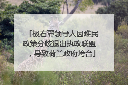 极右翼领导人因难民政策分歧退出执政联盟，导致荷兰政府垮台