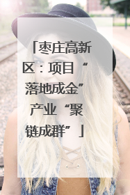 枣庄高新区：项目“落地成金” 产业“聚链成群”
