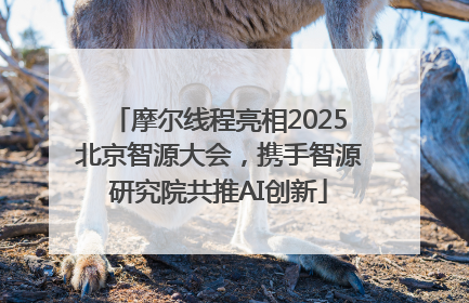 摩尔线程亮相2025北京智源大会，携手智源研究院共推AI创新