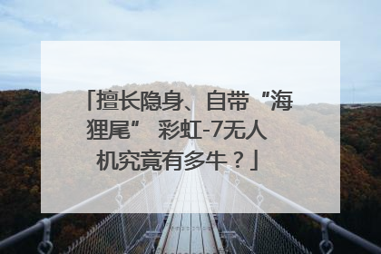 擅长隐身、自带“海狸尾” 彩虹-7无人机究竟有多牛？