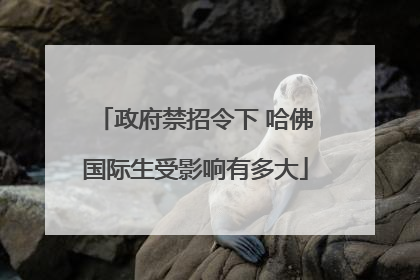 政府禁招令下 哈佛国际生受影响有多大