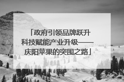 政府引领品牌跃升 科技赋能产业升级——庆阳苹果的突围之路