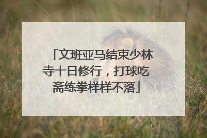 文班亚马结束少林寺十日修行，打球吃斋练拳样样不落