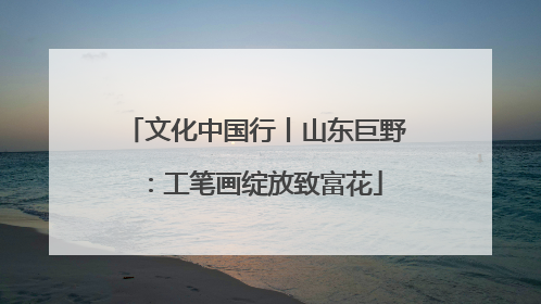 文化中国行丨山东巨野：工笔画绽放致富花