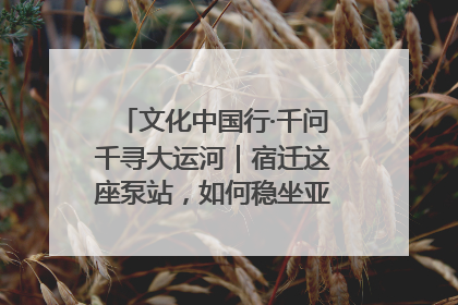 文化中国行·千问千寻大运河｜宿迁这座泵站，如何稳坐亚洲第一宝座？