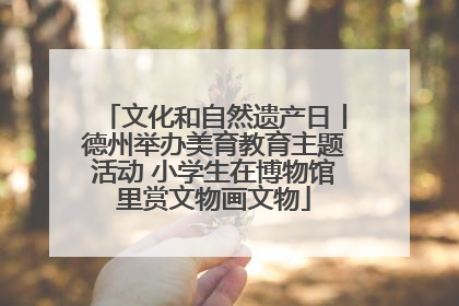 文化和自然遗产日丨德州举办美育教育主题活动 小学生在博物馆里赏文物画文物