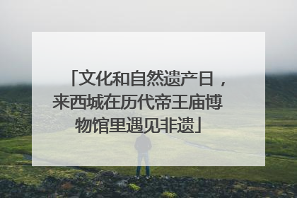 文化和自然遗产日，来西城在历代帝王庙博物馆里遇见非遗