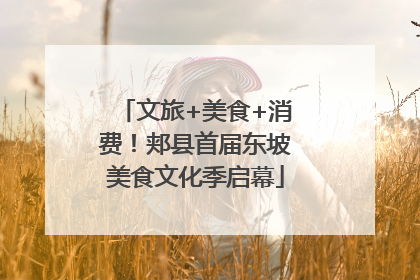 文旅+美食+消费!郏县首届东坡美食文化季启幕